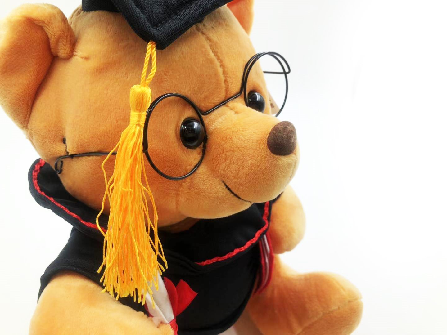 Graduation Bear; graduation gift